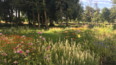 MuseumVoorlinden-PietOudolf-Tuin