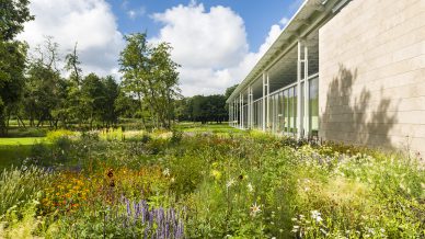 piet oudolf tuin bij museum Voorlinden
