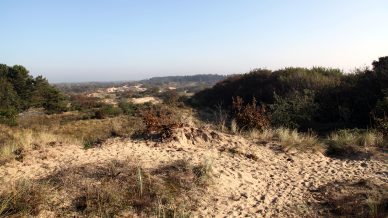 Duinen landgoed museum Voorlinden